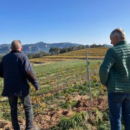 Importers Trip in April 2025 to Penedès and Priorat: