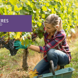 New viticulture Program is being developed in collaboration between MBO Aeres